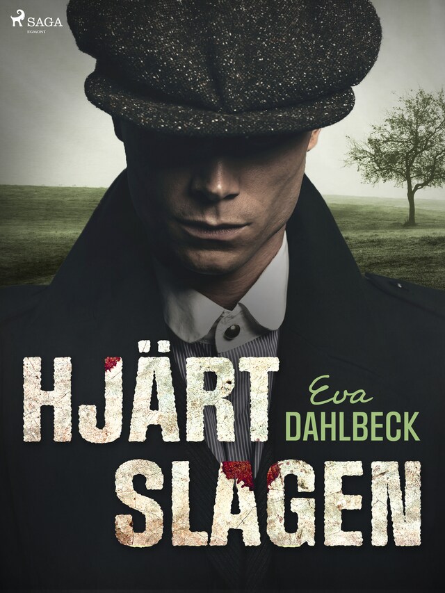 Buchcover für Hjärtslagen