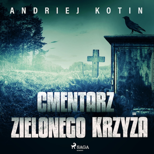 Book cover for Cmentarz Zielonego Krzyża