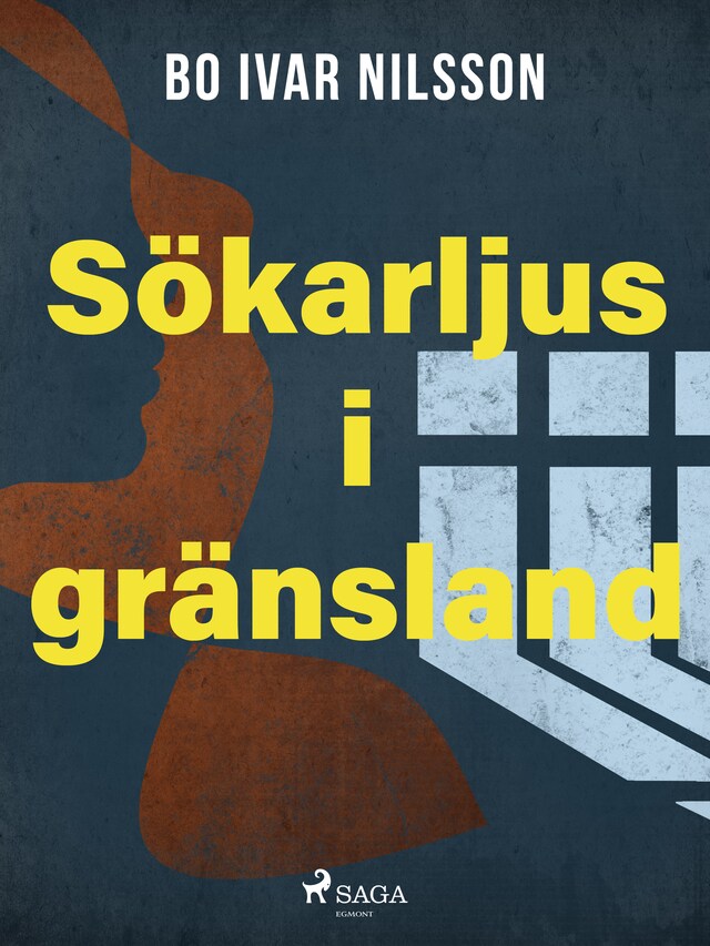 Boekomslag van Sökarljus i gränsland