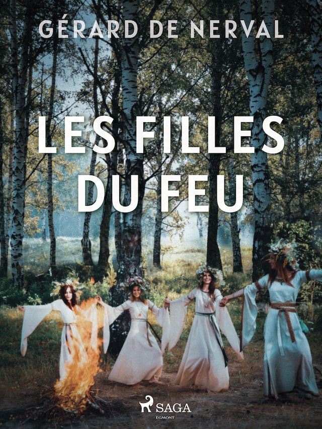 Book cover for Les Filles du Feu