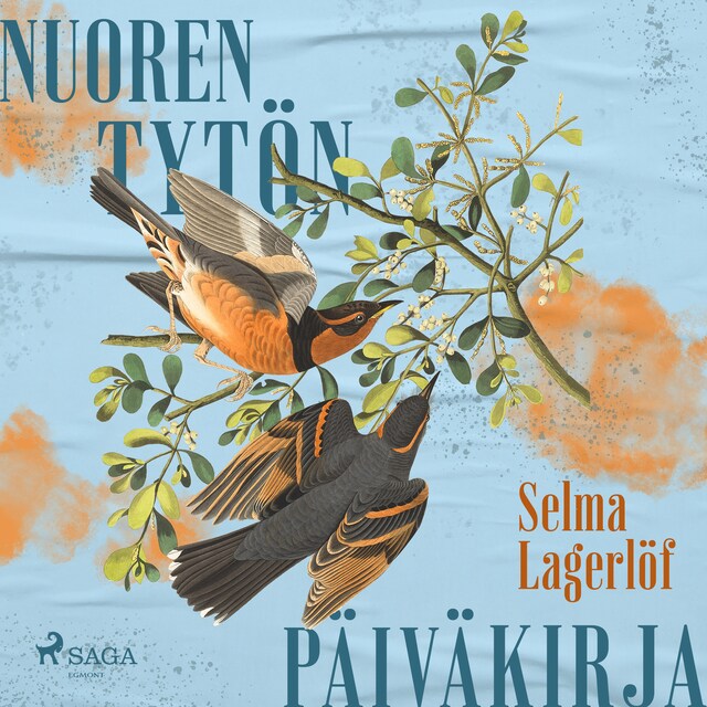 Buchcover für Nuoren tytön päiväkirja