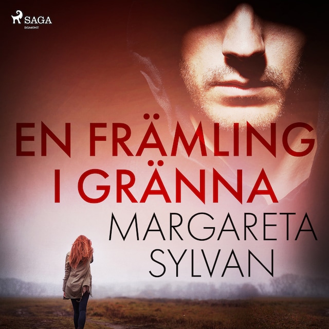 Book cover for En främling i Gränna