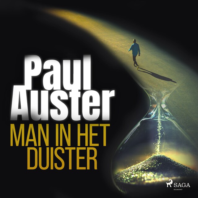 Book cover for Man in het duister