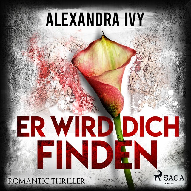 Buchcover für Er wird dich finden: Romantic Thriller