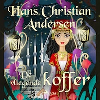 De vliegende koffer