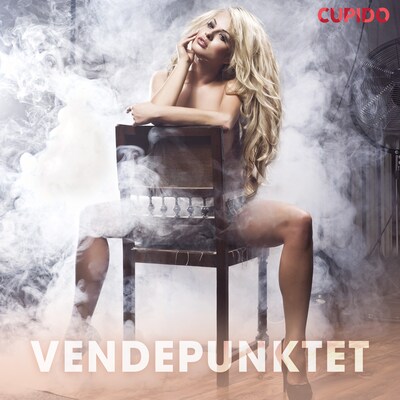 Vendepunktet – erotiske noveller