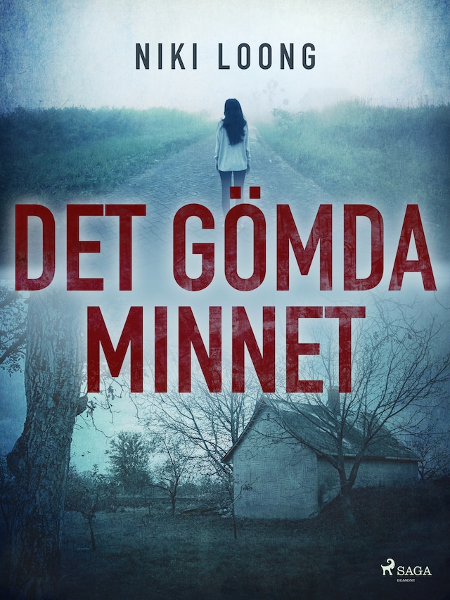 Book cover for Det gömda minnet