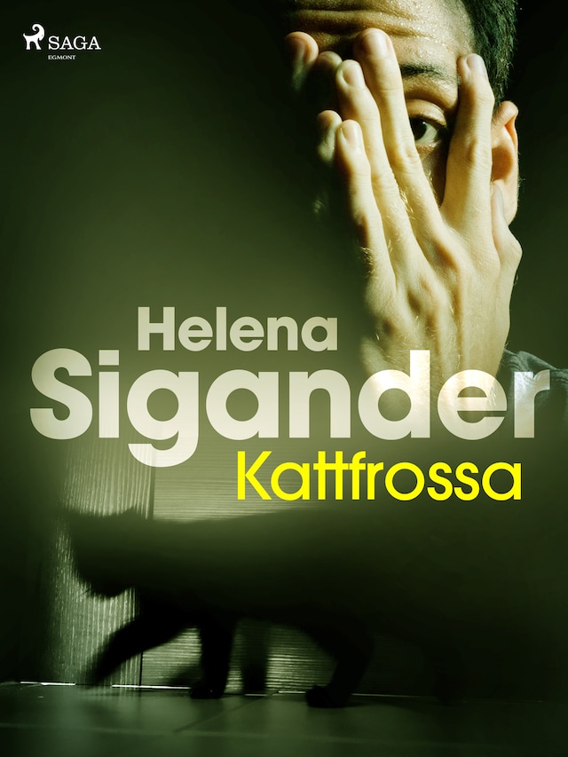 Book cover for Kattfrossa