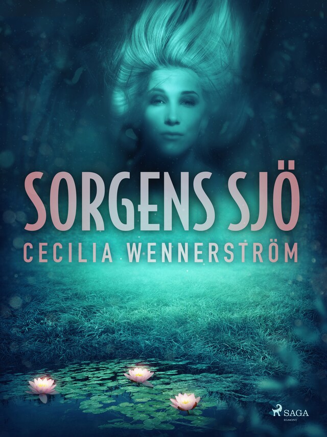 Buchcover für Sorgens sjö