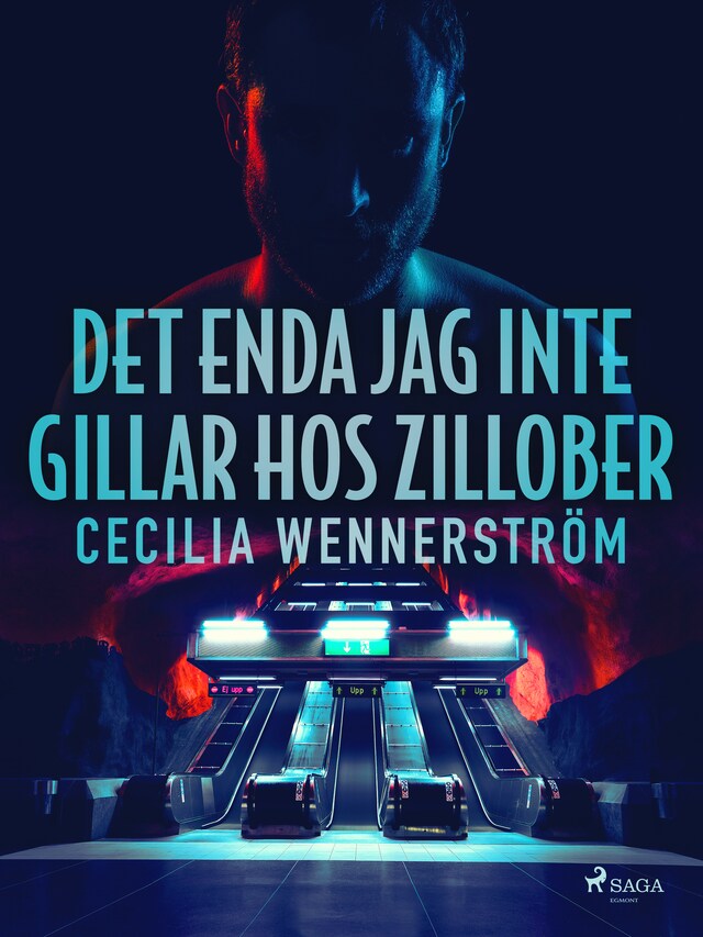 Book cover for Det enda jag inte gillar hos zillober