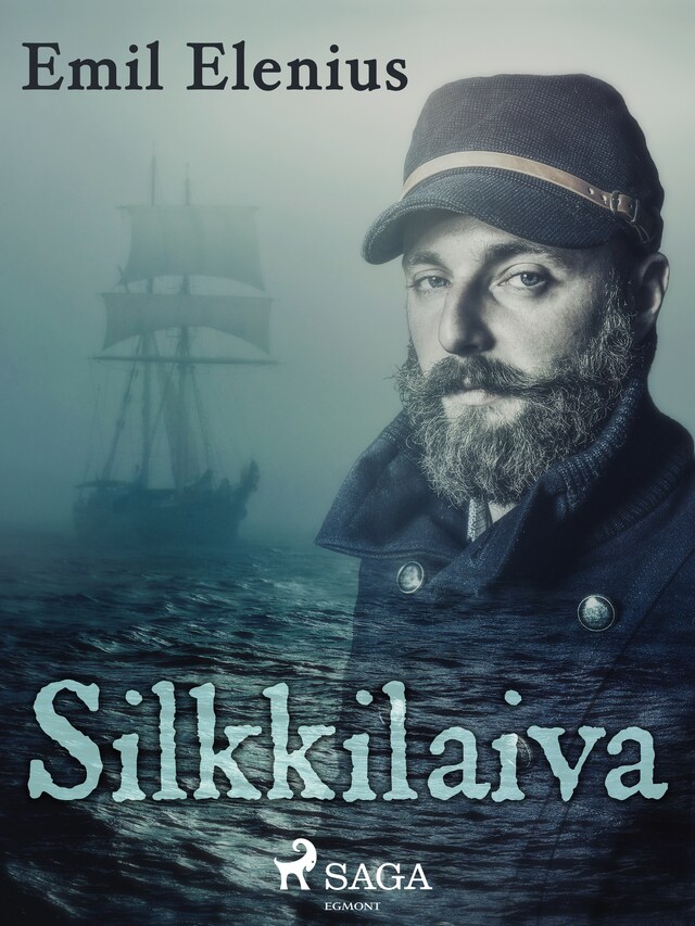 Book cover for Silkkilaiva