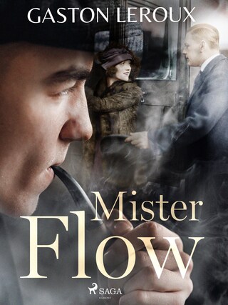 Mister Flow bookCoverFor