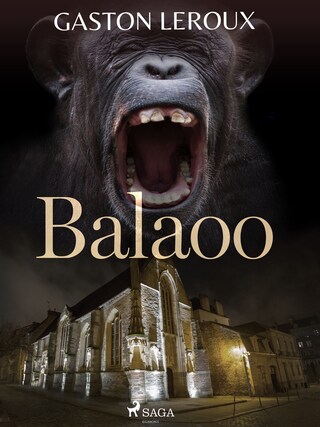 Balaoo bookCoverFor