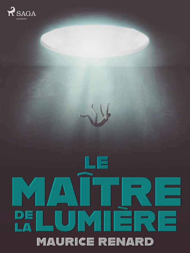 Buchcover für Le Maître de la Lumière