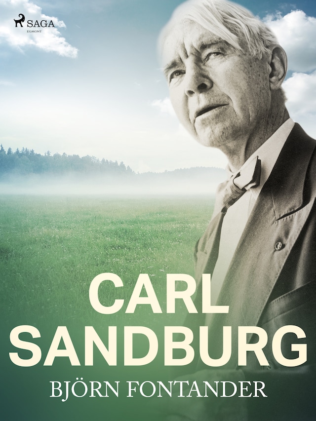 Book cover for Carl Sandburg