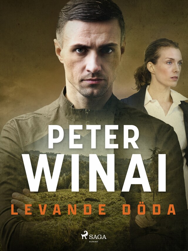 Book cover for Levande döda