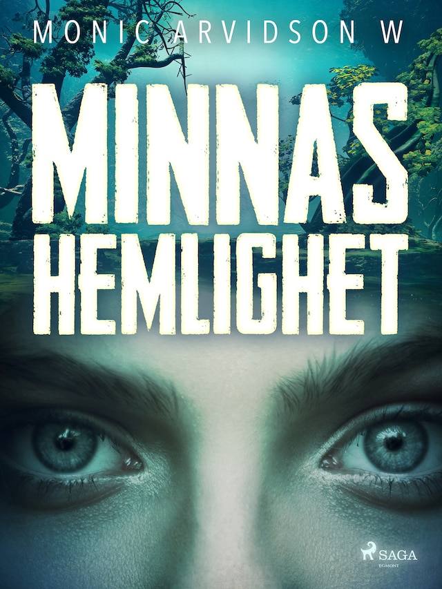 Book cover for Minnas hemlighet