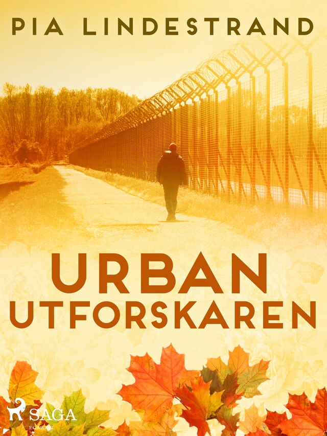 Book cover for Urban utforskaren