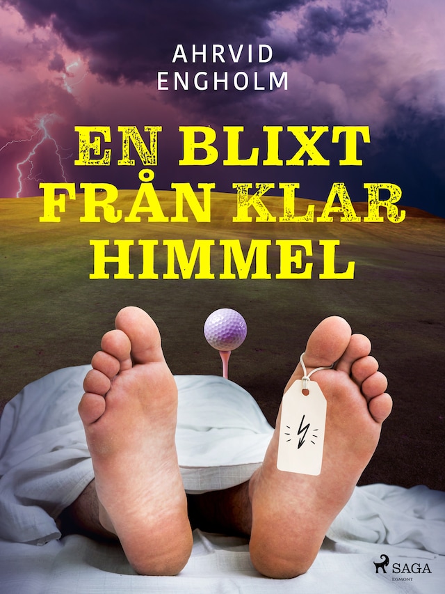 Book cover for En blixt från klar himmel