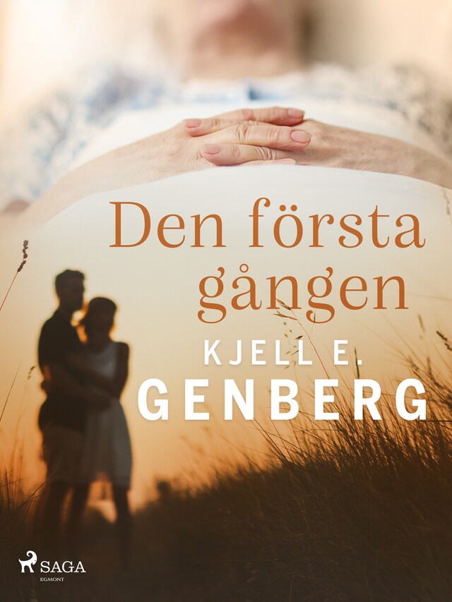 Book cover for Den första gången