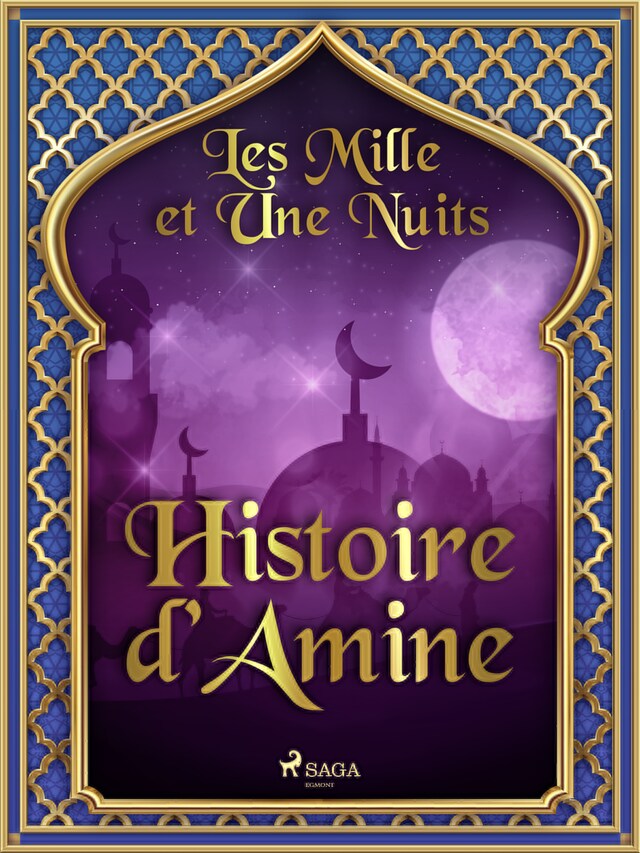 Book cover for Histoire d’Amine