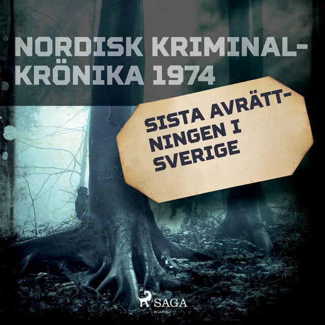 Book cover for Sista avrättningen i Sverige