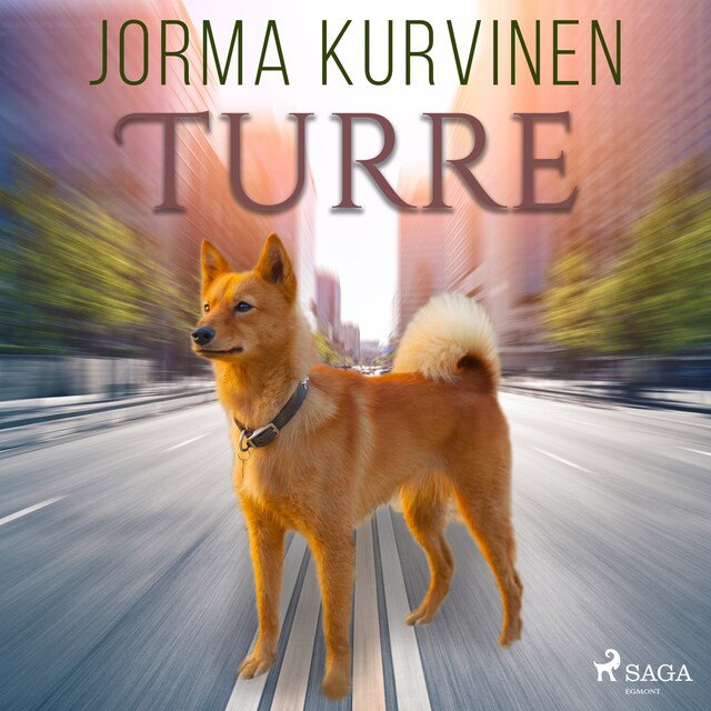Book cover for Turre