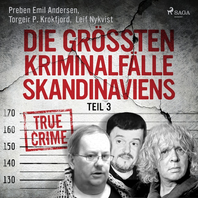 Okładka książki dla Die größten Kriminalfälle Skandinaviens - Teil 3
