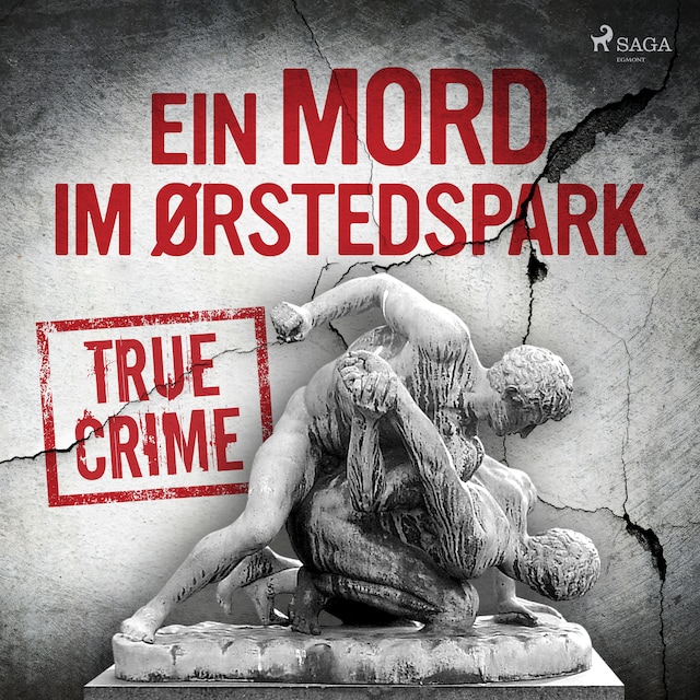 Book cover for Ein Mord im Ørstedspark
