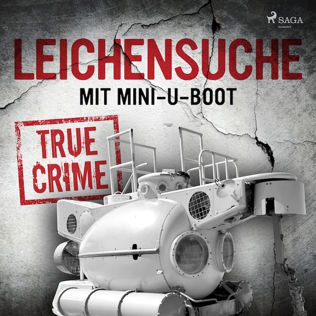 Bokomslag för Leichensuche mit Mini-U-Boot