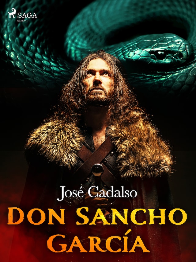 Boekomslag van Don Sancho García