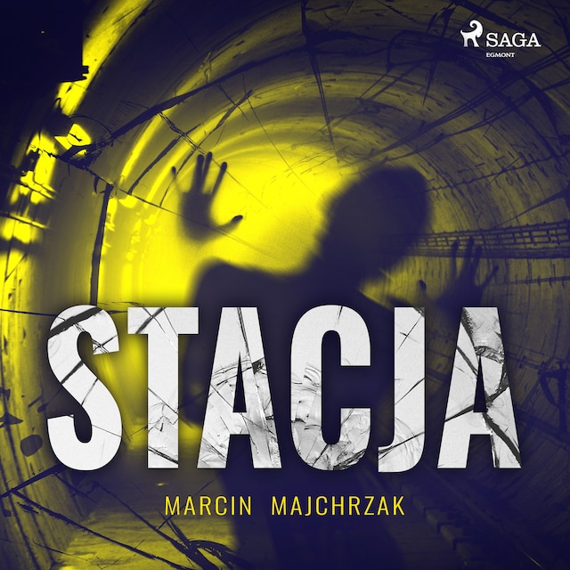Book cover for Stacja