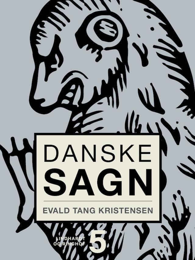 Boekomslag van Danske sagn. Bind 5