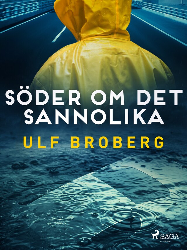 Bokomslag for Söder om det sannolika