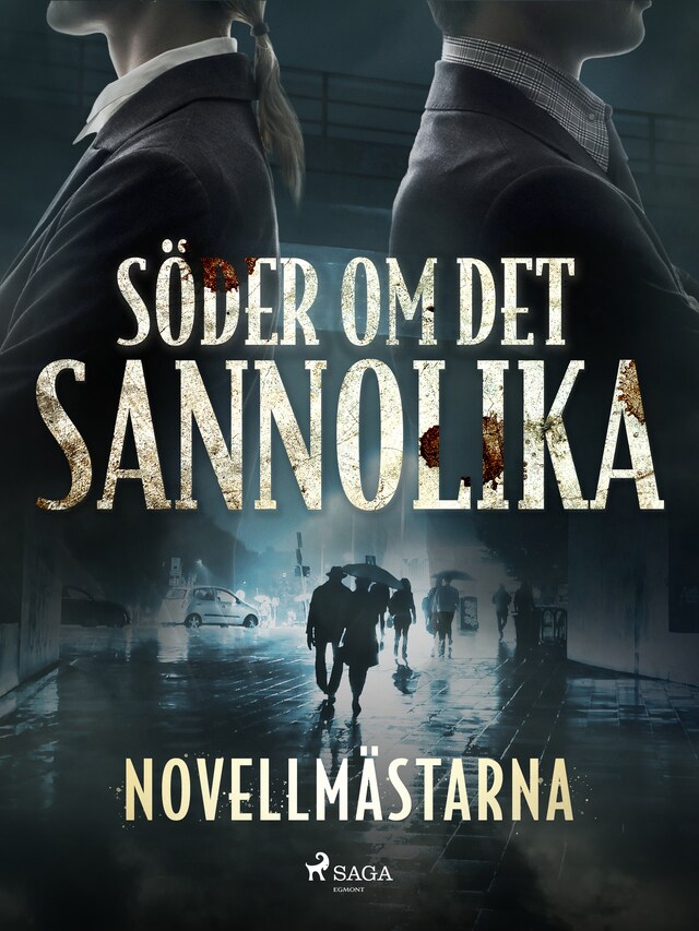 Buchcover für Söder om det sannolika