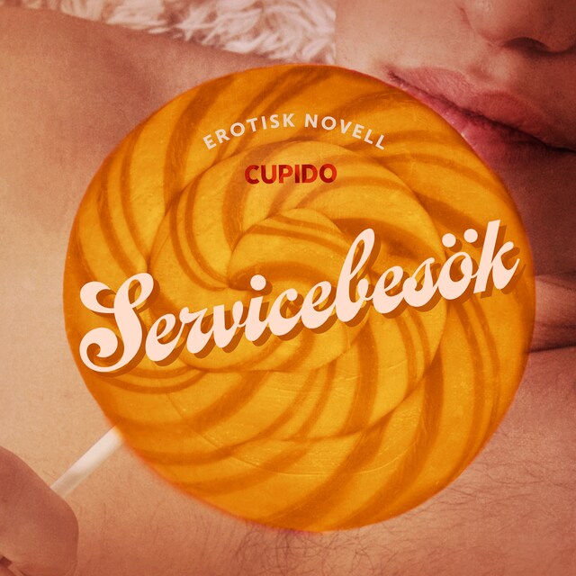 Couverture de livre pour Servicebesök - erotisk novell