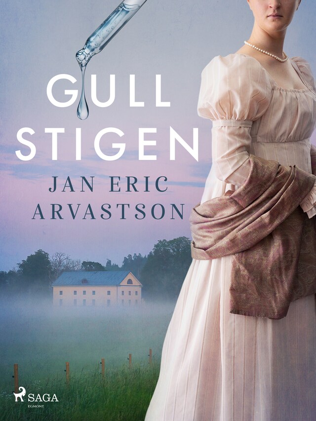 Book cover for Gullstigen