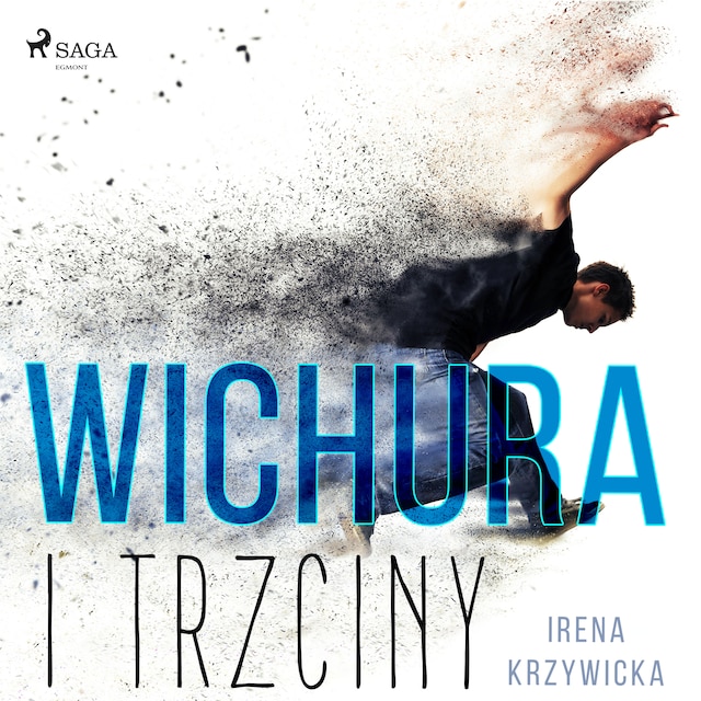 Book cover for Wichura i trzciny