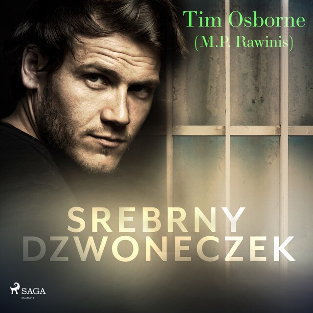 Book cover for Srebrny dzwoneczek