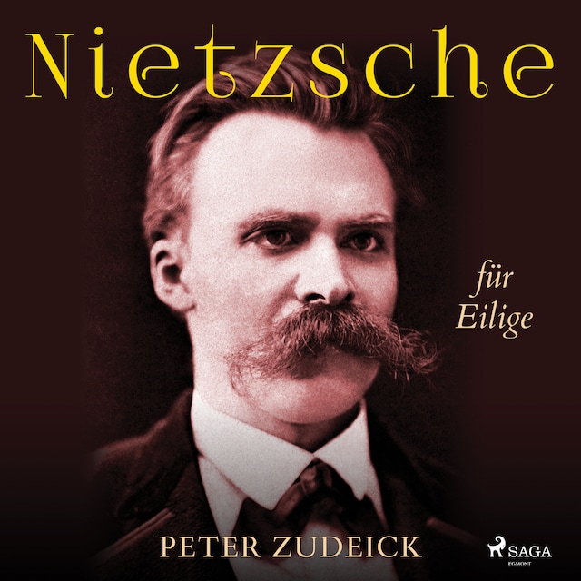 Book cover for Nietzsche für Eilige