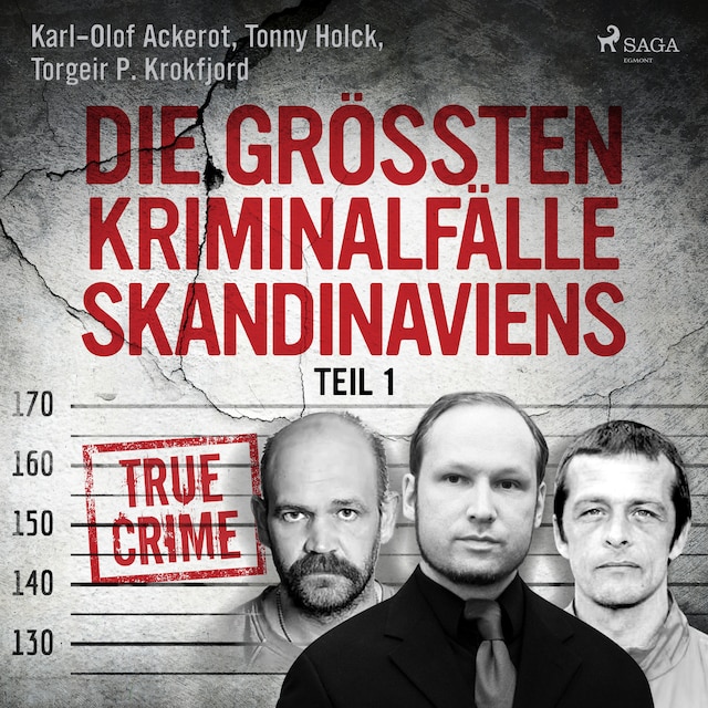 Book cover for Die größten Kriminalfälle Skandinaviens - Teil 1
