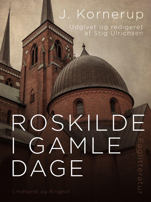 Book cover for Roskilde i gamle dage