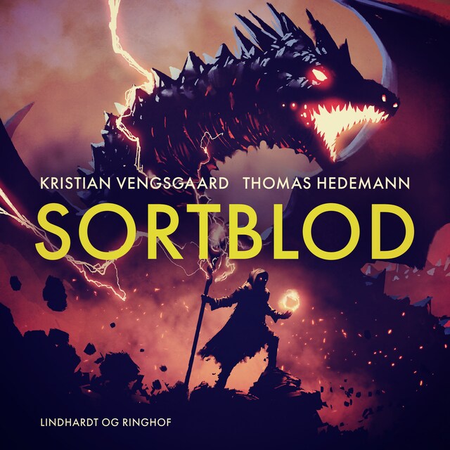 Book cover for Sortblod