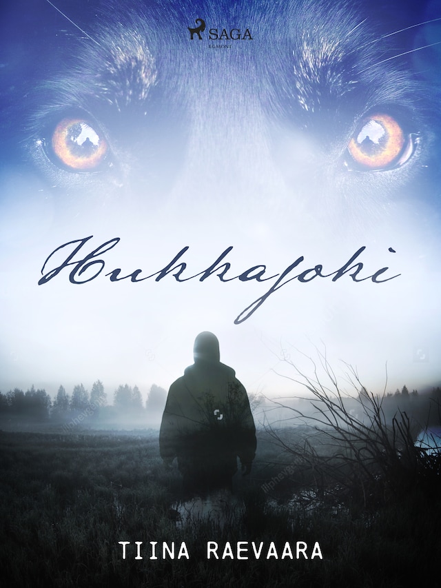 Book cover for Hukkajoki