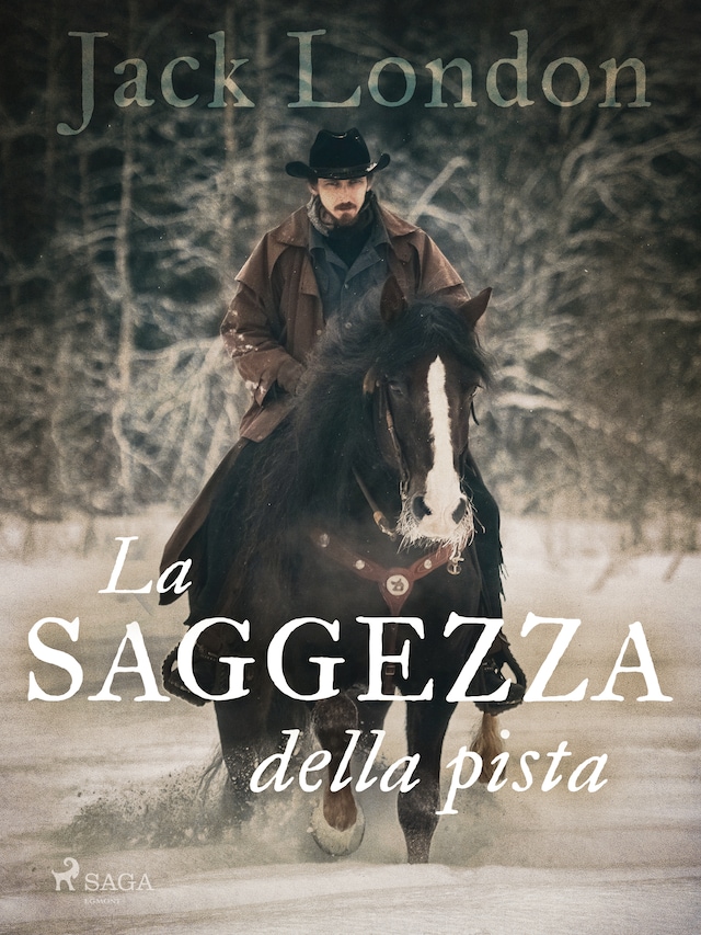 Buchcover für La saggezza della pista