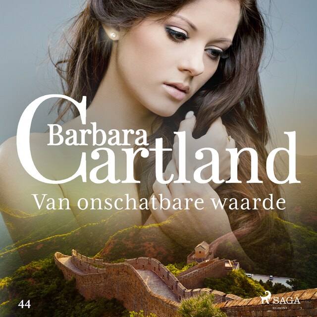 Copertina del libro per Van onschatbare waarde