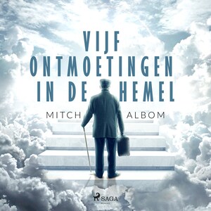 Vijf ontmoetingen in de hemel - luisterboek