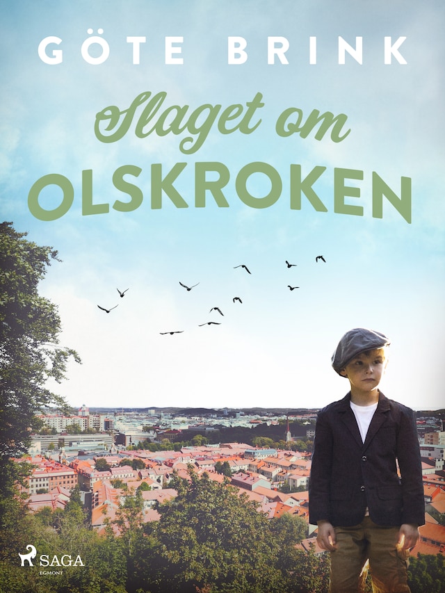 Book cover for Slaget om Olskroken