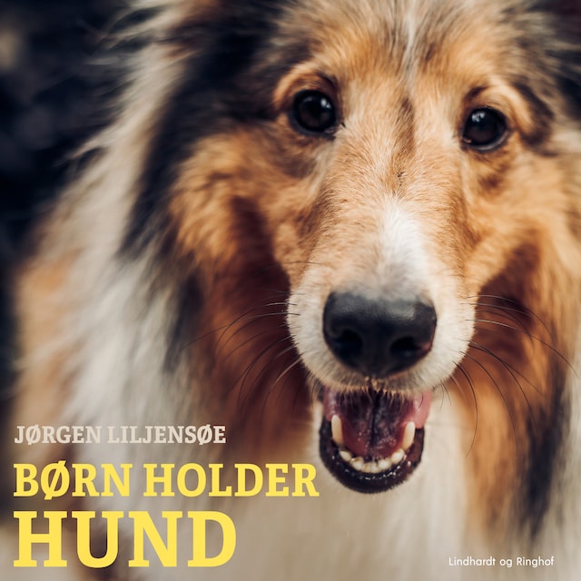 Bogomslag for Børn holder hund