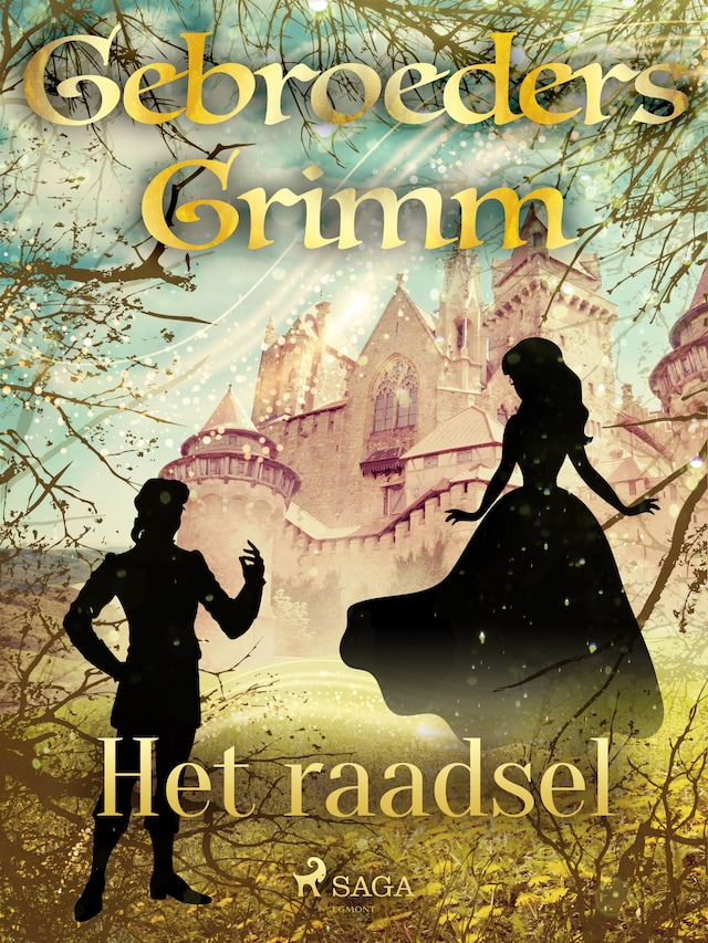 Book cover for Het raadsel
